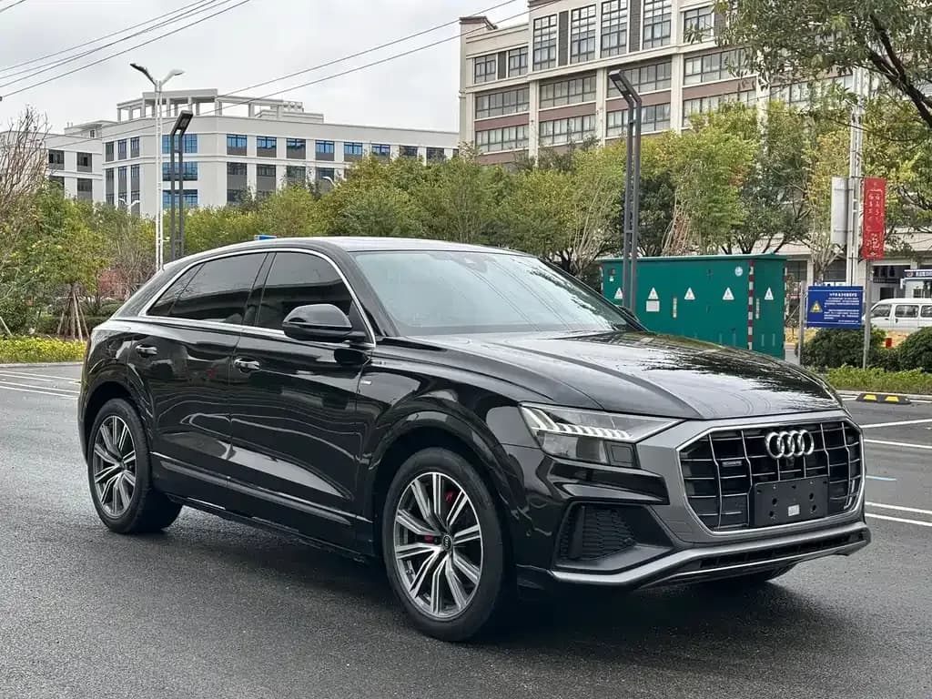 AUDI Q8 55 TFSI 3.0 л. 2023 - фото 3