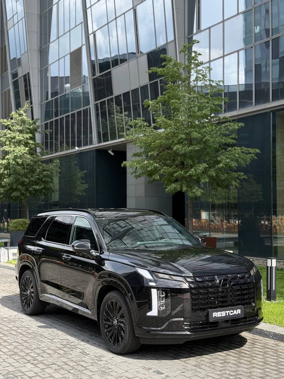 HYUNDAI Palisade 2025 - фото 3